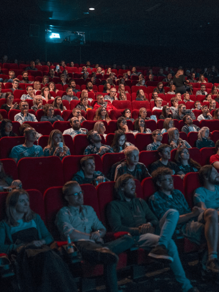 cinema-hall acoustic pannels